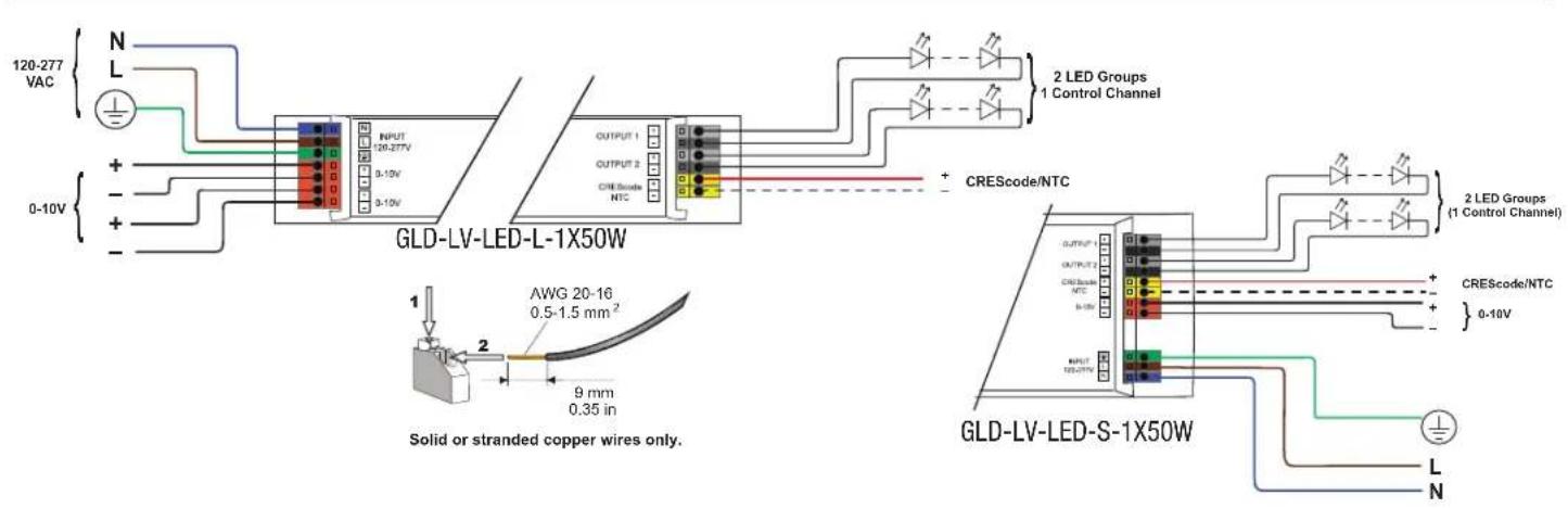 120-277 VAC N L + - 0-10V GLD-LV-LED-L-1X50W OUTPUT 1 OUTPUT 2 CRE Scode NTC 2 LED Groups 1 Control Channel + CREScode/NTC 2 LED Groups (1 Control Channel) + CREScode/NTC 0-10V 1 2 AWG 20-16 0.5-1.5 mm² 9 mm 0.35 in Solid or stranded copper wires only. GLD-LV-LED-S-1X50W OUTPUT 1 OUTPUT 2 CRE Scode NTC BND L N
