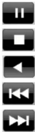 Planet NVR-1615 - Playback control button(s) - 2