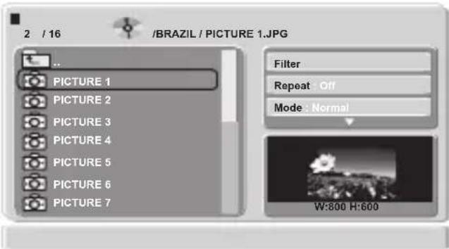 2 / 16 /BRAZIL / PICTURE 1.JPG PICTURE 1 PICTURE 2 PICTURE 3 PICTURE 4 PICTURE 5 PICTURE 6 PICTURE 7 Filter Repeat : Off Mode : Normal W:800 H:600