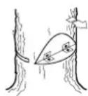 PARTNER 1950 - Fällskär - 6