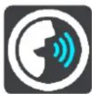 TOMTOM VIA 1420 - Voices - 1
