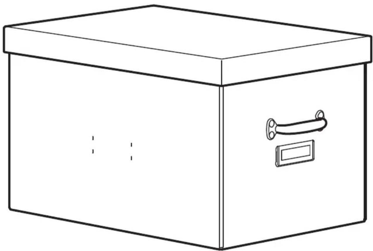 Line drawing of a rectangular box with a handle and lid, no text or symbols present