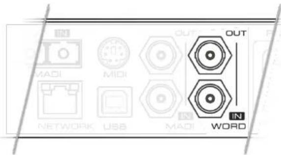 IN MADI MIDI OUT NETWORK USB MADI OUT IN WORD