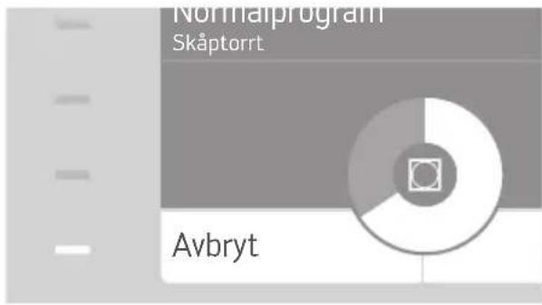 Normalprogram Skåptorrt Avbryt