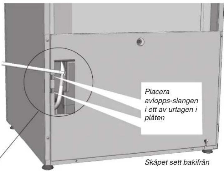 Placera avlopps-slangen i ett av urtagen i plåten Skåpet sett bakifrån