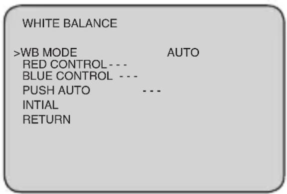 WHITE BALANCE >WB MODE AUTO RED CONTROL --- BLUE CONTROL --- PUSH AUTO --- INTIAL RETURN
