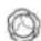 LIEBHERR ICBNh 5183 - Fruit & Vegetable-Safe - 3