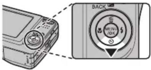 FUJIFILM FinePix AX550 - セルフタイマー撮影 - 1