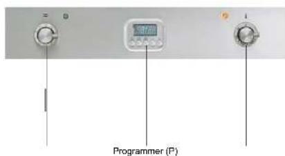 Programmer (P)