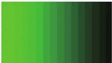 Gradient color bar transitioning from green to dark green (no text or symbols)