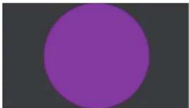 Solid purple circle on a dark gray background (no text or symbols)
