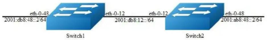 eth-0-48 2001:db8:48::2/64 Switch1 eth-0-12 2001:db8:12::/64 eth-0-12 Switch2 eth-0-48 2001:ab8:48::2/64
