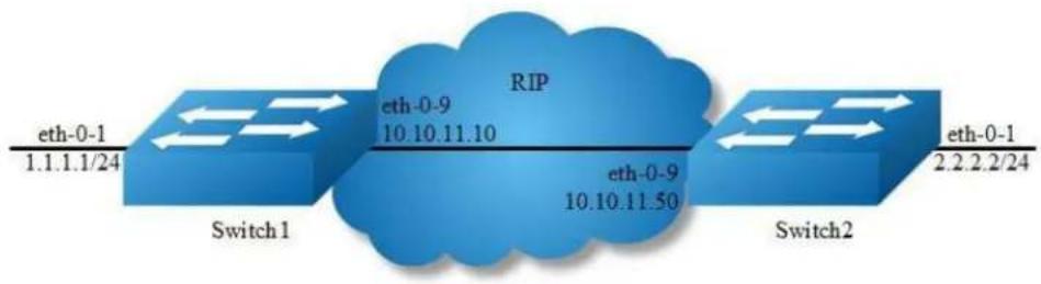 AIRLIVE L3D-2TX4806-40GF - Configuring RIPv2 authentication (single key) - 1