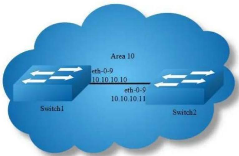 Area 10 eth-0-9 10.10.10.10 eth-0-9 10.10.10.11 Switch1 Switch2