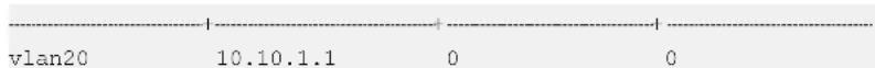 vlan20 10.10.1.1 0 0