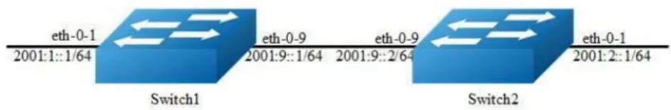 eth-0-1 2001:1::1/64 eth-0-9 2001:9::1/64 eth-0-9 2001:9::2/64 eth-0-1 2001:2::1/64 Switch1 Switch2