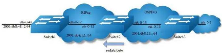 AIRLIVE L3D-2TX4806-40GF - Configuring Redistribution - 1