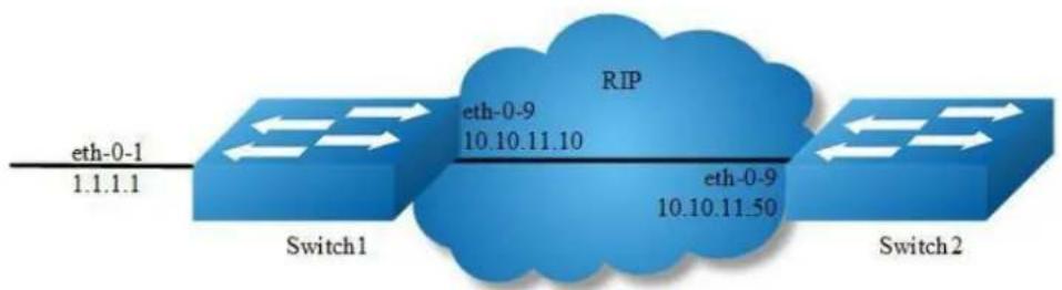 AIRLIVE L3D-2TX4806-40GF - Configuring Split-horizon Parameters - 1