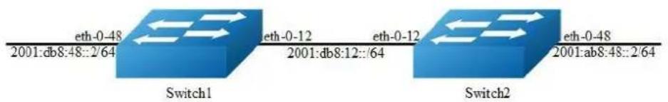 eth-0-48 2001:db8:48::2/64 eth-0-12 2001:db8:12::64 eth-0-12 2001:ab8:48::2/64 Switch1 Switch2