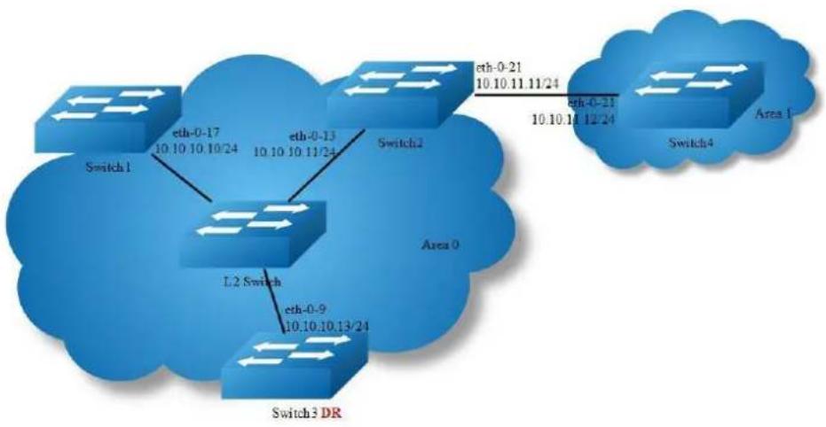 AIRLIVE L3D-2TX4806-40GF - Configuring OSPF Area Parameters - 1