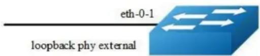 eth-0-1 loopback phy external