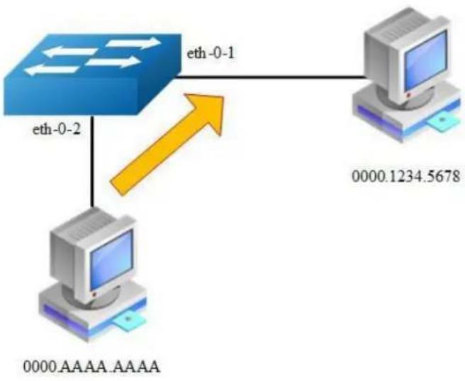 AIRLIVE L3D-2TX4806-40GF - Configuring Static Unicast Address - 1