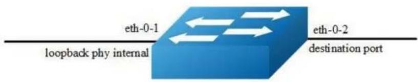 AIRLIVE L3D-2TX4806-40GF - Configuring internal phy loopback - 1