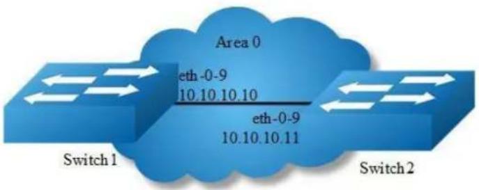 Area 0 eth -0-9 10.10.10.10 eth-0-9 10.10.10.11 Switch1 Switch2