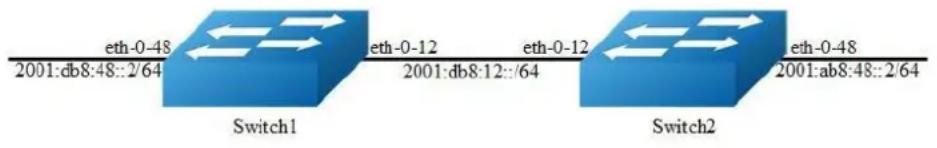 eth-0-48 2001:db8:48::2/64 Switch1 eth-0-12 2001:db8:12::/64 eth-0-12 Switch2 eth-0-48 2001:ab8:48::2/64