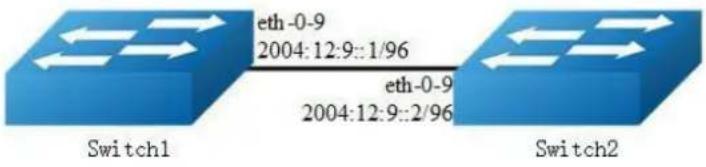eth-0-9 2004:12:9::1/96 eth-0-9 2004:12:9::2/96 Switch1 Switch2