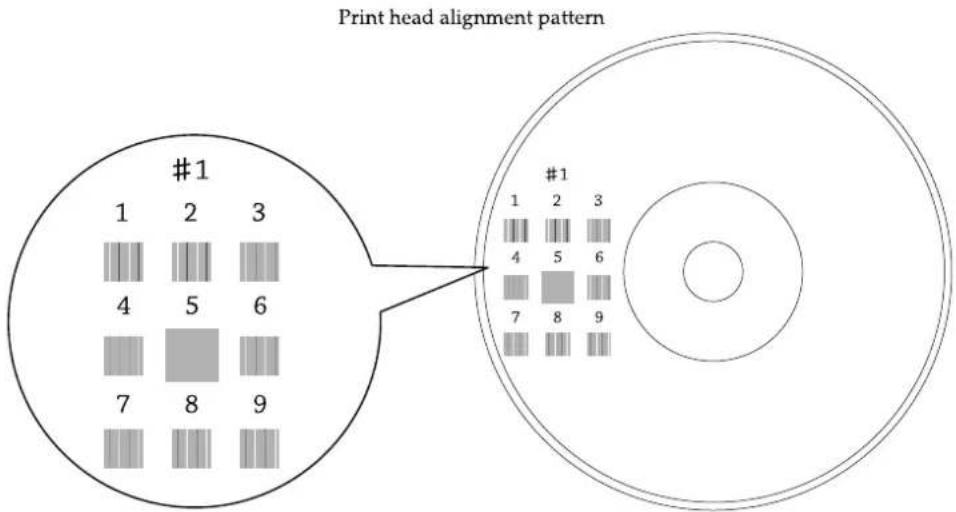 EPSON PP-100N - Check the printed print head alignment pattern. - 1
