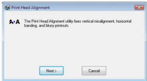 EPSON PP-100N - Print head alignment - 2