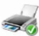 EPSON PP-100N - Check 4: Check of printer driver settings - 1
