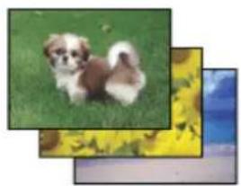 EPSON Expression Premium XP-810 - Printing photos the easy way - 1