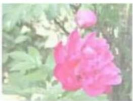 EPSON Expression Premium XP-810 - Image Adjustment Features - 3