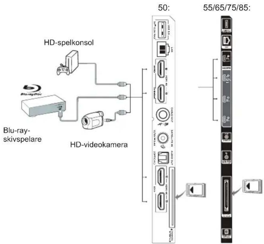 TCL 85MQLED75K - Anslut nätsladden och antennen - 2