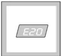 E20
