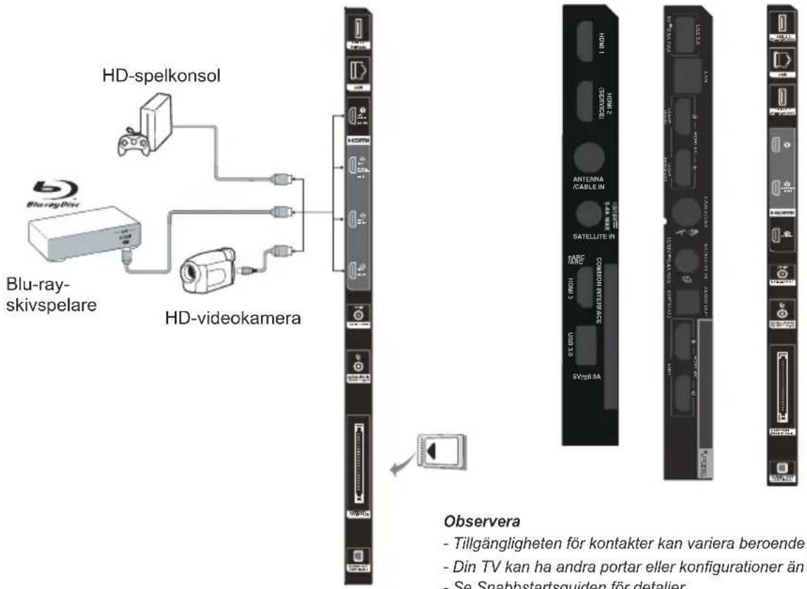 TCL 65MQLED75L - Anslut nätsladden och antennen - 2