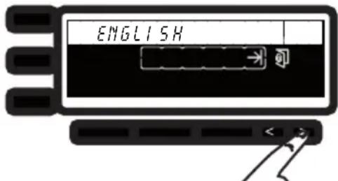 ENGLISH