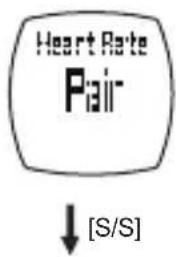 Heart Rate Pair [S/S]