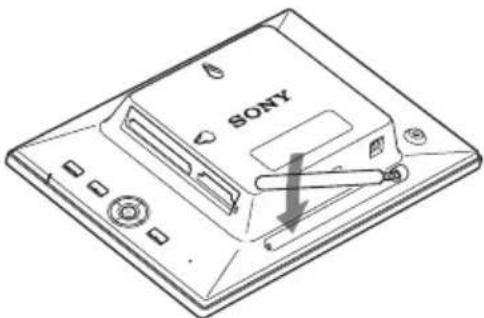 SONY
