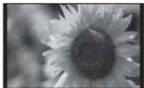 SONY DPF-D72NR - Slideshow display - 1