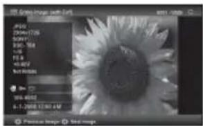 SONY DPF-D72NR - Single view mode - 3