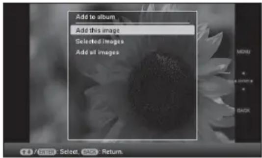 Add to album Add this image Selected Images Add all images