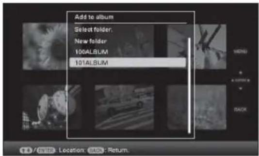 Add to album Select folder. New folder 100ALBUM 101ALBUM MENU + - BACK 12 / RGB / Location (RGB) : Return.