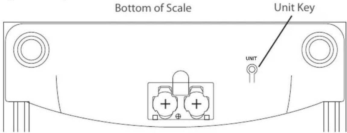 Bottom of Scale Unit Key UNIT