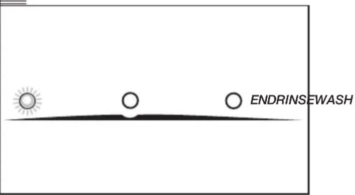 ENDRINSEWASH