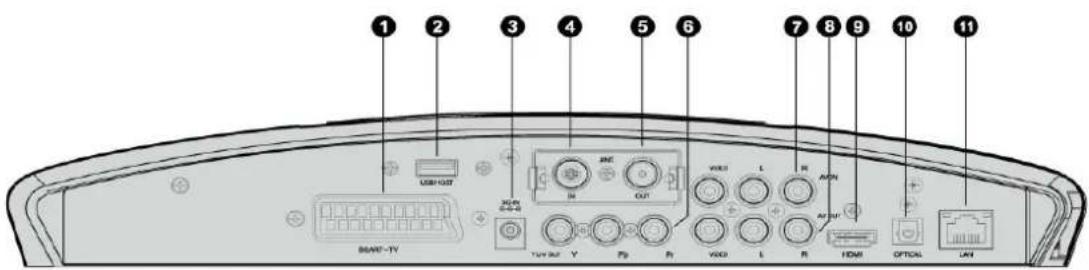 Fantec 16241 - Rear Panel - 1