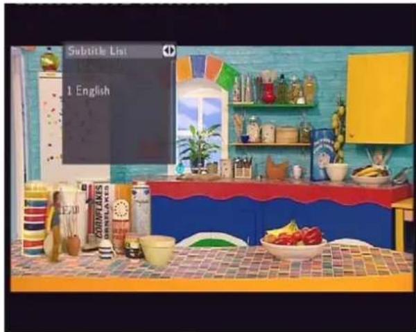Fantec 16241 - Subtitle List Menu - 1