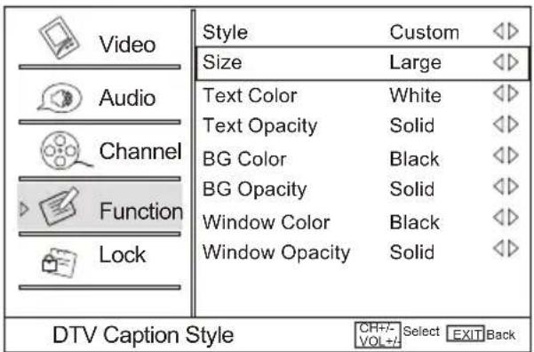 Video Audio Channel Function Lock Style Custom Size Large Text Color White Text Opacity Solid BG Color Black BG Opacity Solid Window Color Black Window Opacity Solid DTV Caption Style CHT+/- Select EXIT Back VOL-/-